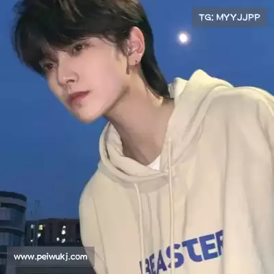 晏清飚